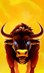 Big Wild Buffalo 2